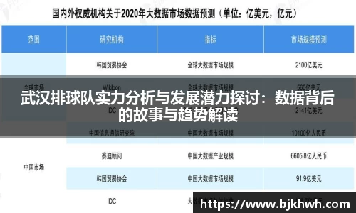 武汉排球队实力分析与发展潜力探讨：数据背后的故事与趋势解读