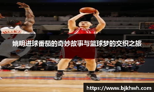 姚明进球番茄的奇妙故事与篮球梦的交织之旅