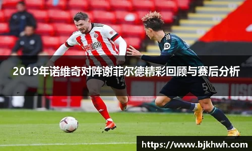2019年诺维奇对阵谢菲尔德精彩回顾与赛后分析
